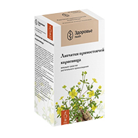 Лапчатки корневища